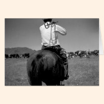 Cowboy on a horse with two brands. cards