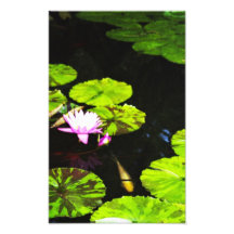 Coy Art Photo