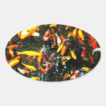 Coy Fish Sticker