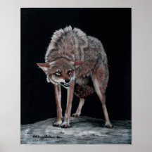 Coyote #2 poster