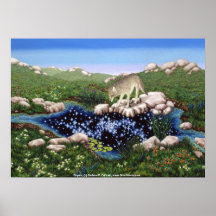 Coyote, Coyote, by Darlene P. Coltrain Posters