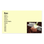 CP- Daffodil and Cheery Blossom Business Cards