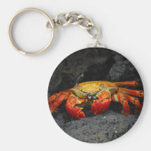 Crab Grapsus Grapsus From The Galapagos Islands Keychains