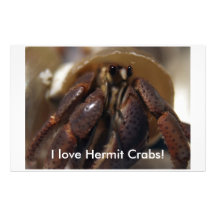 crabby, I love Hermit Crabs! Customized Stationery