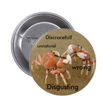 crabfight pinback button