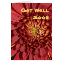 Cranberry Mum Card