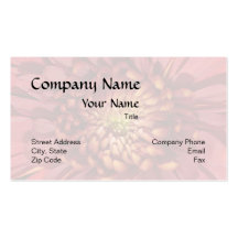 Cranberry Red Mum Background Business Card