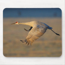 Crane Mousemats