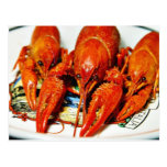 Crawfish Crawdads Craytfish Post Cards