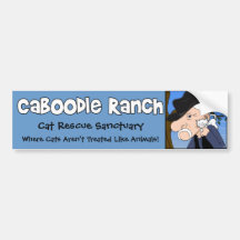 'Crazy Cat Man' Bumper Sticker