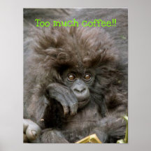 funny monkey poster