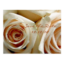Cream Rose Bouquet - Save the Date Card Post Cards