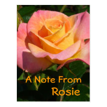 "Creamsicle" Orange Rose Post Card