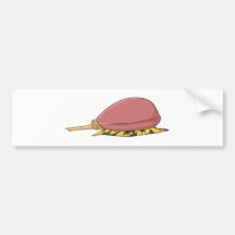 Creative Geographic Cone Snail Bumper Stickers