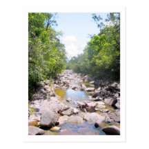 Creek 2 post card