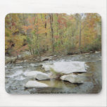 Creek at Chimney Rock in North Carolina Mouse Pad