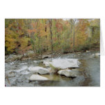 Creek At Chimney Rock, North Carolina Card