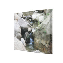 Creek Canvas Print