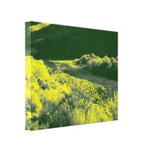 Creek Canvas Print
