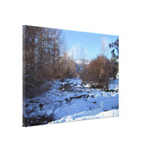 Creek covered by ice canvas prints