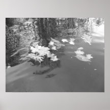 Creek Print