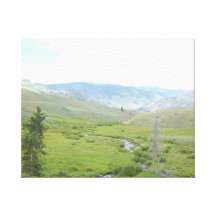 Creek Valley Canvas Prints