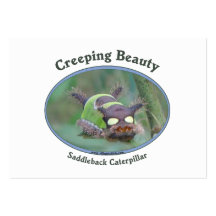 Creeping Beauty Business Card