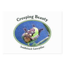 Creeping Beauty Caterpillar Business Cards