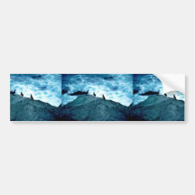 Crested Auklets Bumper Stickers