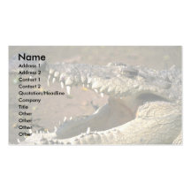 Crocodile Business Cards