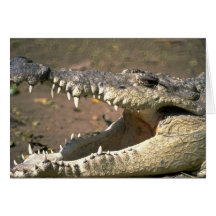 Crocodile Greeting Card