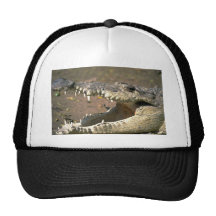 Crocodile Hats