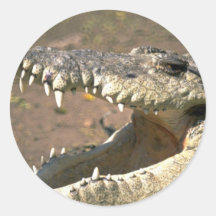 Crocodile Round Stickers