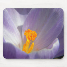 crocus centre close up mouse pad