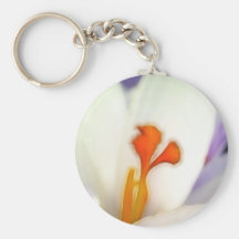 Crocus Flower in Early Spring Key Chains