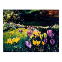 crocus postcard