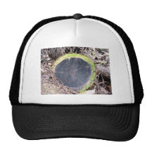 Cross-section of redwood trucker hat