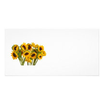 Crowd of Sunflowers Photo Card Template