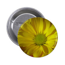 crymumyellow pin