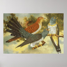 Cuckoo Birds with Modern Art Print