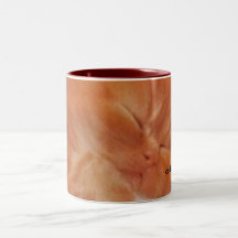 cuddly & cosy mug