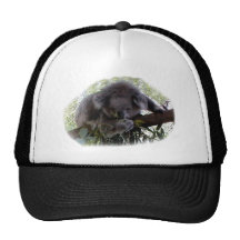 Cuddly Koala Mesh Hat