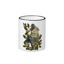 Cuddly Koala Mugs