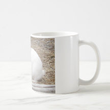 Cuddly White Bunny Mugs