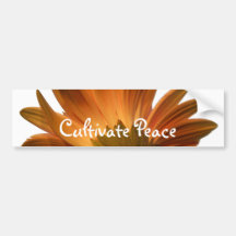 Cultivate Peace Bumper Sticker