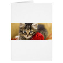 Curious Blue Eyed Kitten With a Red Ball of Yarn Greeting Card
