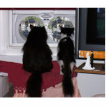 Curious Cats Photo Cutout