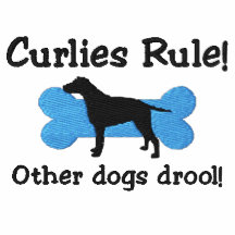 Curlies Rule Embroidered T-Shirt