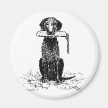 Curly Coated Retriever with Bumper Magnet