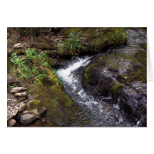 Curtis Creek Greeting Cards